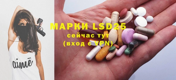 сатива Аркадак