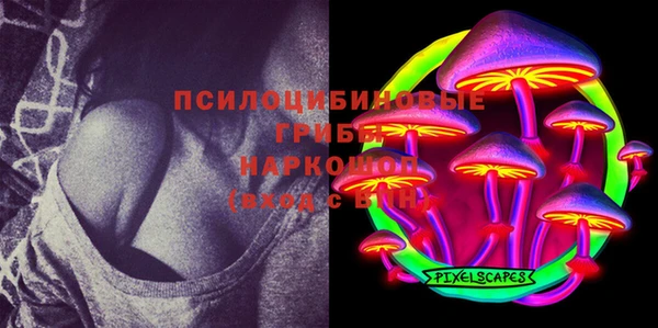 прущий лед Арсеньев