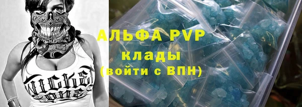 сатива Аркадак