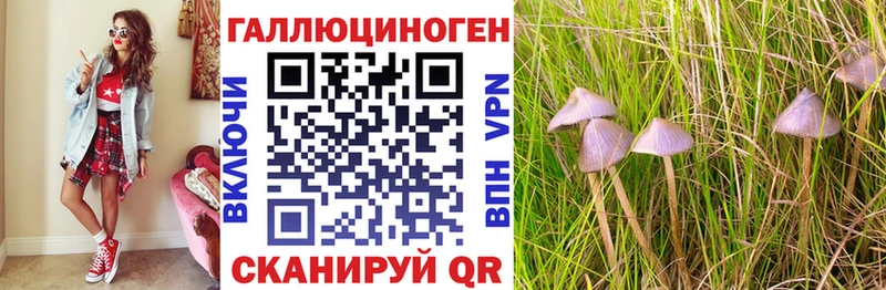 Галлюциногенные грибы мухоморы  Солигалич 